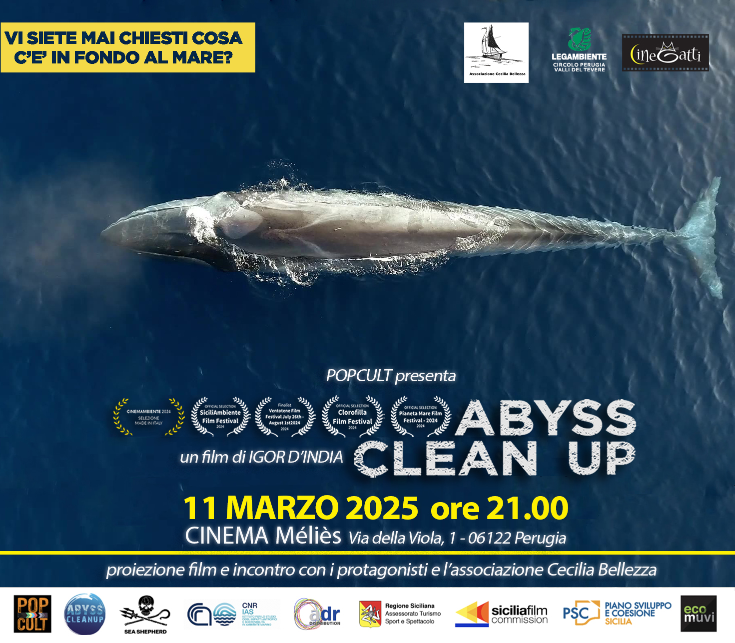 Abyss Clean Up a Perugia
